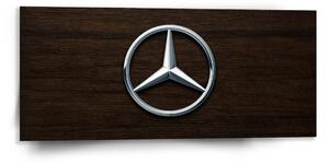 Sablio Obraz Logo 5 Dřevo - 110x50 cm