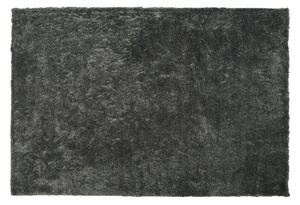 Chlupatý koberec EVREN Tmavě šedá 140 x 200 cm