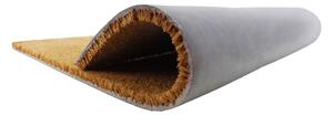 Rohožka z kokosového vlákna 40x60 cm Campervan – Artsy Doormats