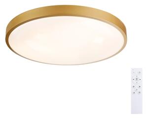 Brilagi - LED Stmívat. svítidlo GLASS POOL DOUBLE LED/60W/230V 50 cm zlatá + DO