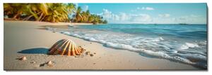 Obraz na plátně - Zapomenutá mušle na pláži FeelHappy.cz Velikost obrazu: 150 x 50 cm