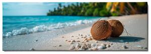 Obraz na plátně - Tam kde kokosy padají z palmy FeelHappy.cz Velikost obrazu: 90 x 30 cm
