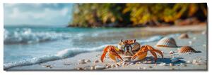 Obraz na plátně - Krab na opuštěné pláži FeelHappy.cz Velikost obrazu: 60 x 20 cm