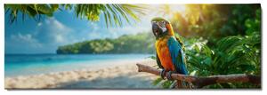 Obraz na plátně - Papoušek Ara hlídkuje na pláži FeelHappy.cz Velikost obrazu: 90 x 30 cm