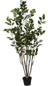 Umělý kaučukovník ALBERO, plast, výška 125 cm, zelená