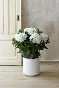 Umělá hortenzie HYDRANGEA v bílém květináči, výška 78 cm, bílá
