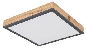 STROPNÍ LED SVÍTIDLO, 30/30/6 cm - Stropní svítidla