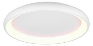 STROPNÍ LED SVÍTIDLO, 75/9,5 cm Trio Leuchten - Stropní svítidla