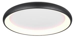 STROPNÍ LED SVÍTIDLO, 75/9,5 cm Trio Leuchten - Stropní svítidla