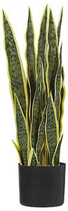 Umělá rostlina SNAKE PLANT 63 cm Zelená