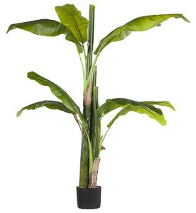 Umělá rostlina MUSA TREE 154 cm Zelená
