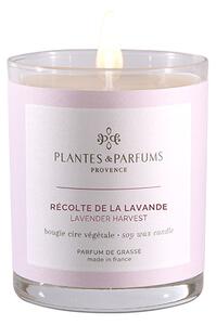 PLANTES & PARFUMS de Provence PLANTES ET PARFUMS Vonná svíčka Récolte de la Lavande 180g