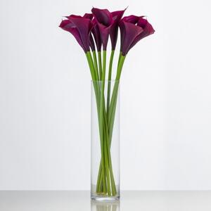 Luxusní kala ELISA purple beauty. Cena je za 1 kus. TECS196/CK45PB