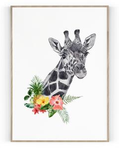 Plakát / Obraz Žirafa Napnuté plátno na dřevěném rámu 40 x 50 cm