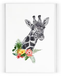 Plakát / Obraz Žirafa A4 - 21 x 29,7 cm Tiskové plátno