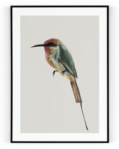 Plakát / Obraz Bird A4 - 21 x 29,7 cm Pololesklý saténový papír Bez okraje