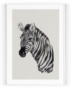 Plakát / Obraz Zebra S okrajem Pololesklý saténový papír 30 x 40 cm