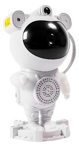 Aga DS2305