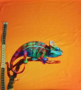 Divazo Panel Teplákovina Barevný Chameleon Oranžová Velikost: 35 x 35 cm