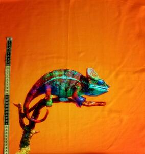 Divazo Panel Teplákovina Barevný Chameleon Oranžová Velikost: 50 x 65 cm