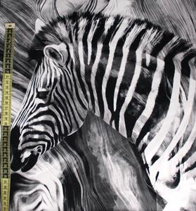 Divazo Panel Teplákovina Zebra Černobílá 35 x 35 cm