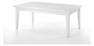 Konferenční stolek, bílá, PARIS 79872 0000149839 Tempo Kondela