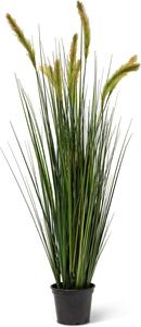 FOXTAIL GRAS - umělá tráva Výška: 120 cm