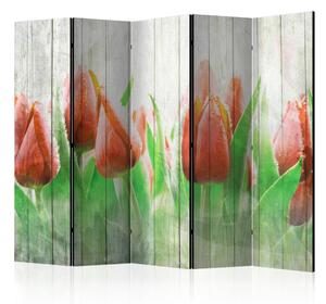 Paraván - Červené tulipány na dřevě II 225x172