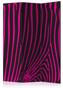 Paraván - Vzor zebra (fialová) 135x172