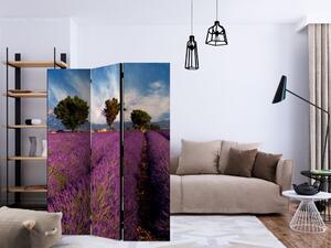 Paraván Lavender field in Provence, France Dekorhome 135x172 cm (3-dílný)