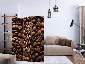 Paraván - Pražená kávová zrna 135x172