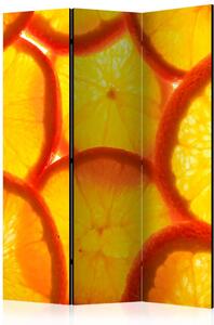 Paraván - Plátky pomeranče 135x172