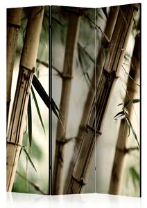 Paraván - Mlha a bambusový les 135x172