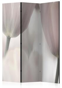 Paraván - Umělěcké tulipány - černobílé 135x172