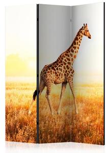 Paraván - Žirafa - procházka 135x172