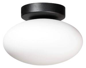 LED stropní svítidlo Omi černá