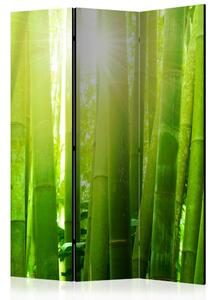 Paraván Sun and bamboo Dekorhome 135x172 cm (3-dílný)