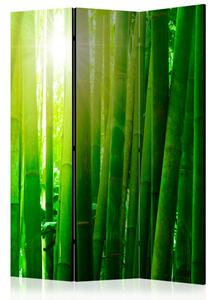 Paraván - Slunce a bambus 135x172