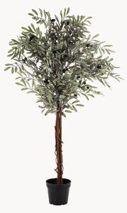 Umělá rostlina v květináči Olive Tree