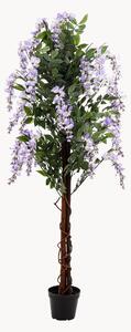 Umělá rostlina v květináči Wisteria Tree