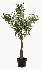 Umělá rostlina v květináči Olive Tree