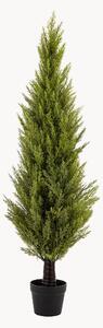 Umělá rostlina v květináči Cypress Bush