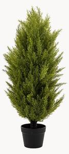 Umělá rostlina v květináči Cypress Bush
