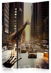 Paraván - Žirafa ve velkoměstě 135x172