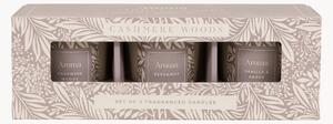 Sada vonných svíček Cashmere Woods, 3 díly