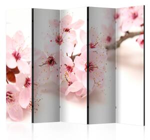 Paraván Cherry Blossom Dekorhome 135x172 cm (3-dílný)