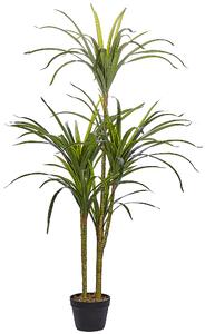 Umělá rostlina DRACAENA ANITA 147 cm Zelená