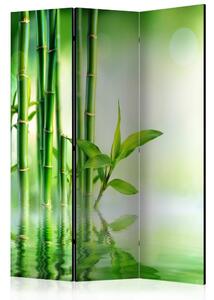 Paraván - Zelený bambus 135x172