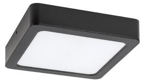 Rabalux 2689 - LED Stropní svítidlo SHAUN LED/12W/230V 14,5 cm