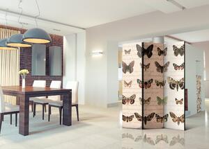Paraván Retro Style: Butterflies Dekorhome 135x172 cm (3-dílný)